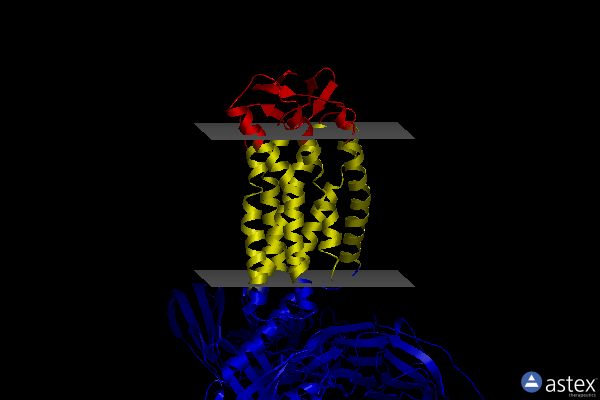 Membrane view of 8ihb