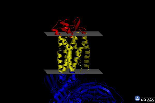 Membrane view of 8ihh