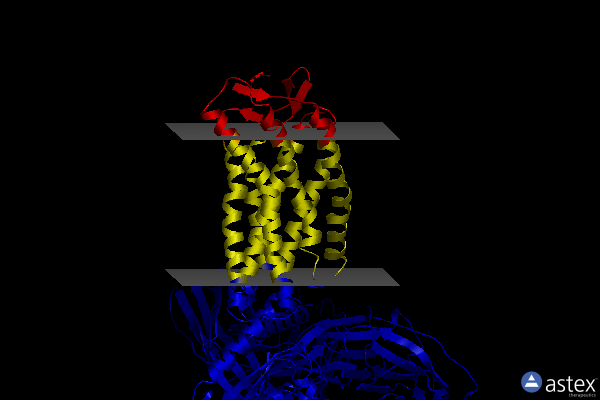 Membrane view of 8ihi