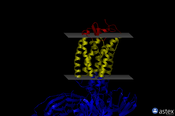 Membrane view of 8ijd