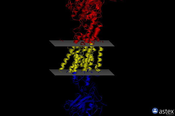 Membrane view of 8ijm