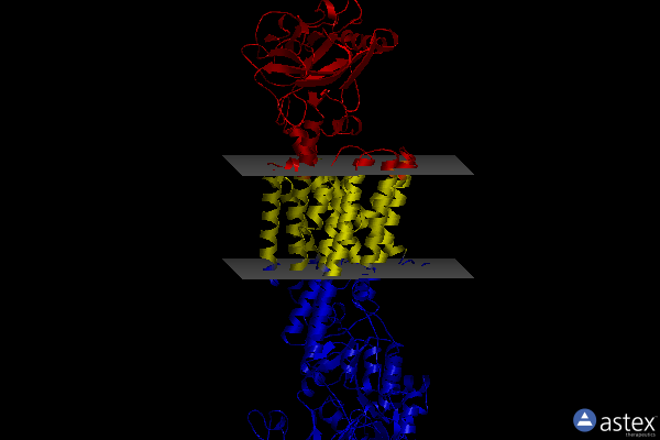 Membrane view of 8ijw