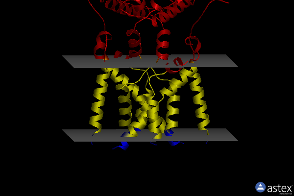 Membrane view of 8ik0