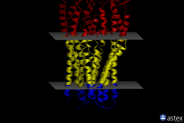 8ipq