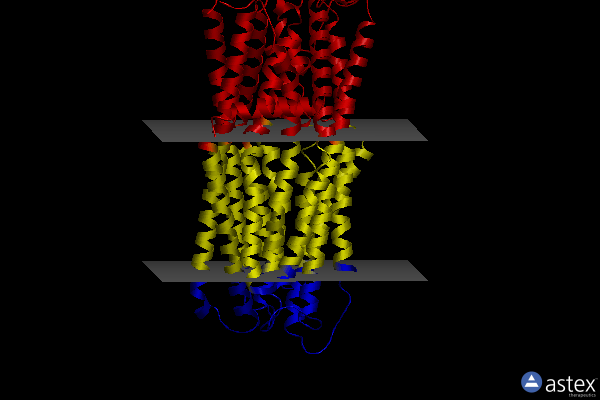 Membrane view of 8ipt