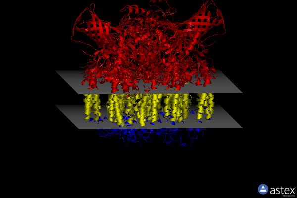 Membrane view of 8ir7