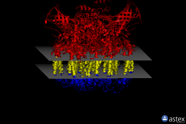 Membrane view of 8ir8