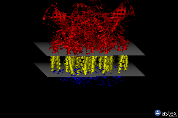 Membrane view of 8ira