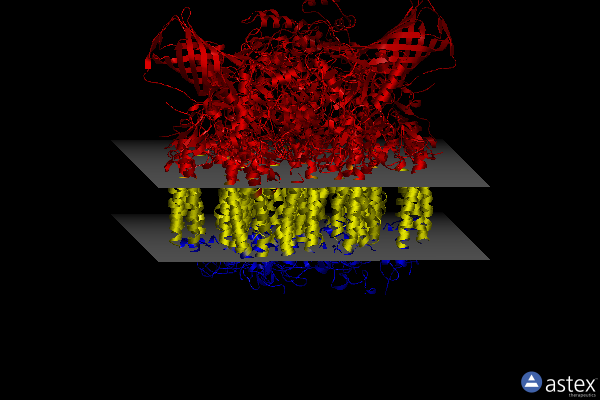 Membrane view of 8ire
