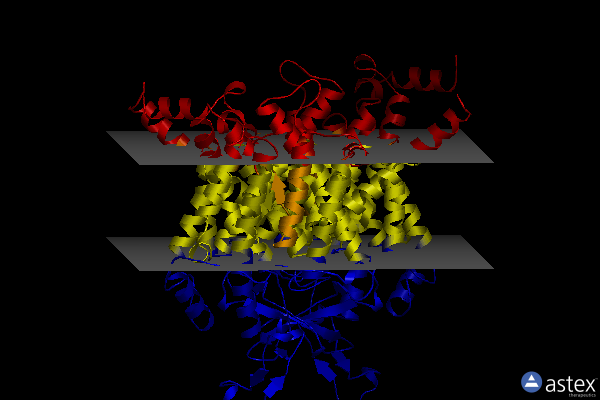 Membrane view of 8irp