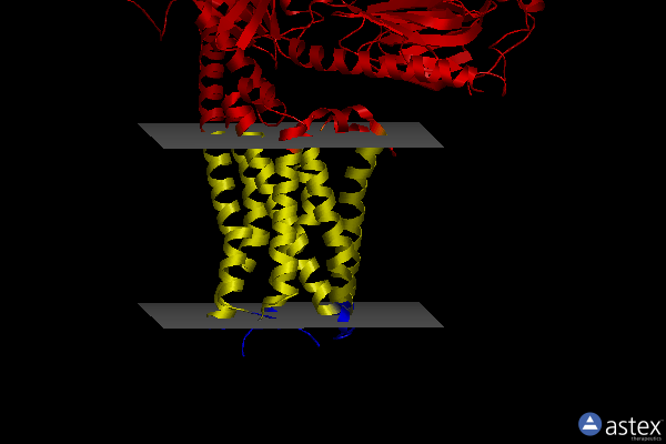 Membrane view of 8irr