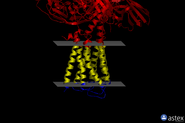 Membrane view of 8iru