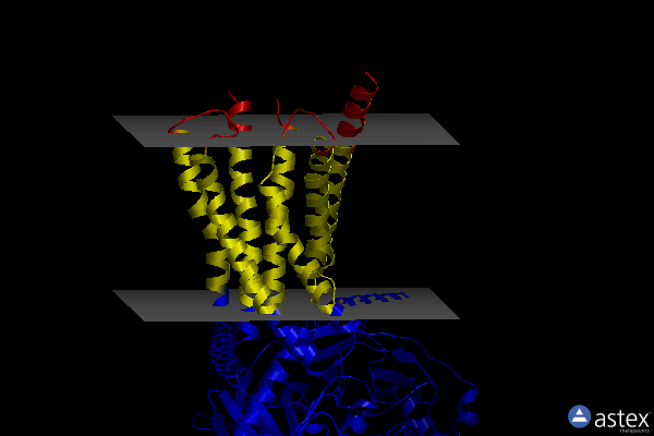 Membrane view of 8itm