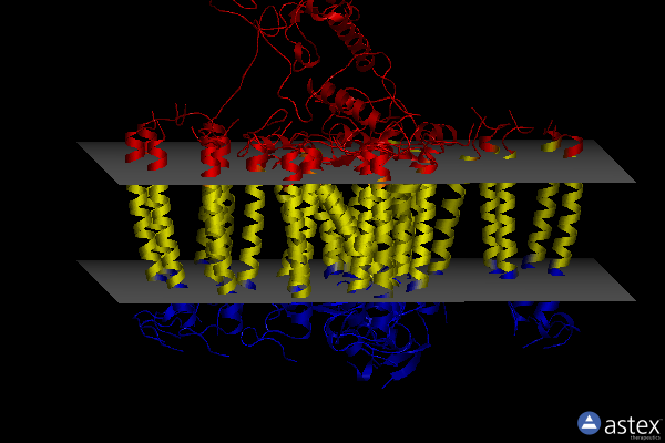 Membrane view of 8iug