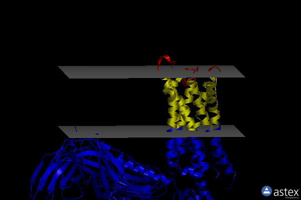 Membrane view of 8iul