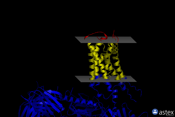 Membrane view of 8iw1