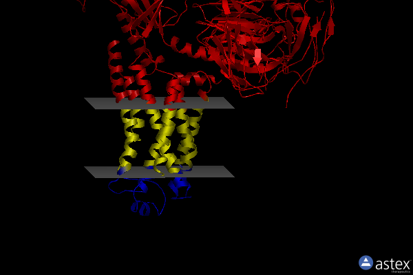 Membrane view of 8iw7