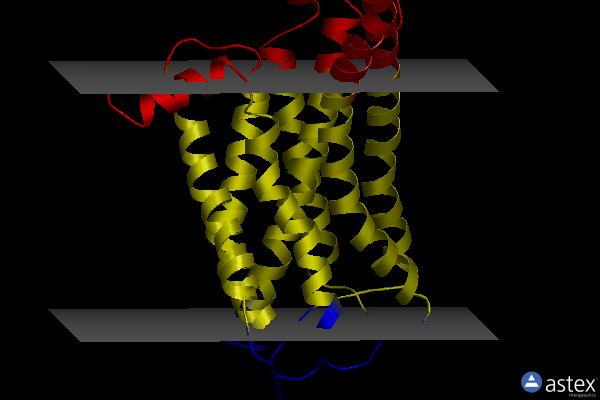 Membrane view of 8iwe