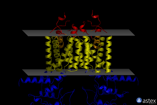 Membrane view of 8iwj