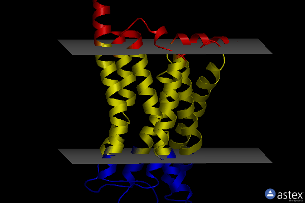 Membrane view of 8iwm
