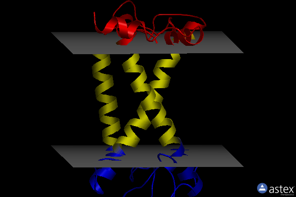 Membrane view of 8iwy