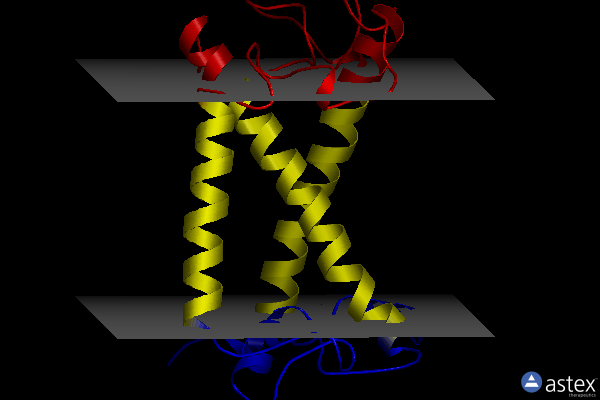 Membrane view of 8iwz