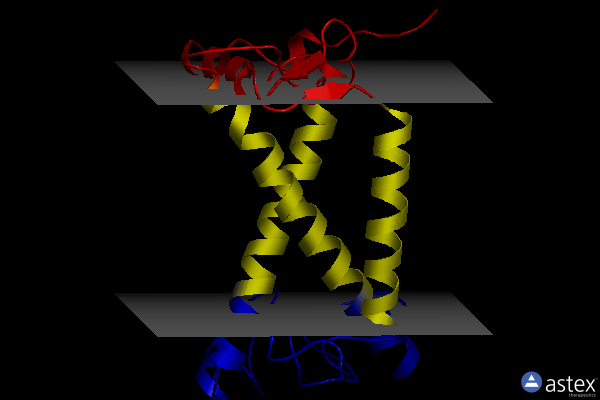 Membrane view of 8ix2