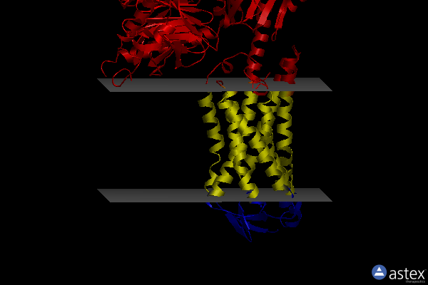 Membrane view of 8iy9