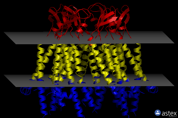 Membrane view of 8iyg