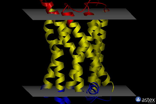 Membrane view of 8iyx