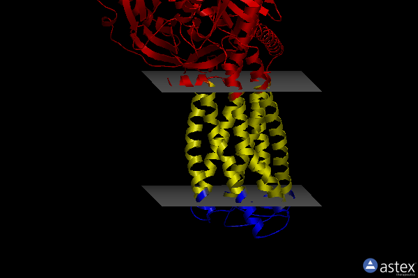 Membrane view of 8iz4