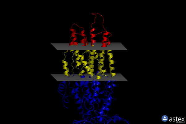 Membrane view of 8iz7