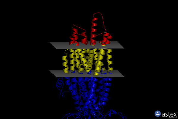 Membrane view of 8iz9