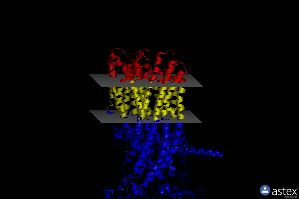 Membrane view of 8izr