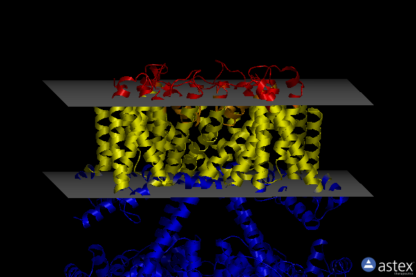 Membrane view of 8j01