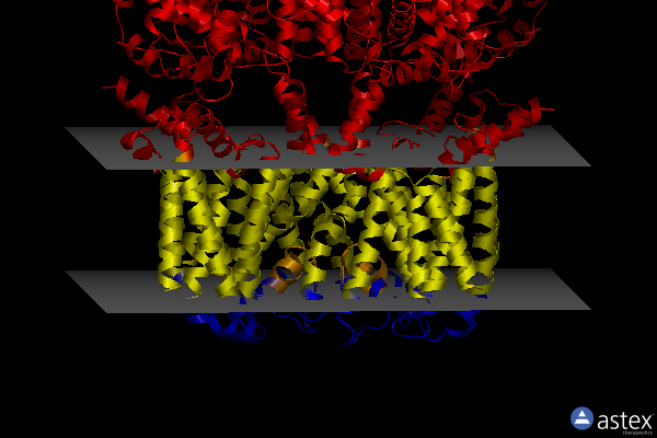 Membrane view of 8j03