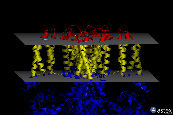 Membrane view of 8j04