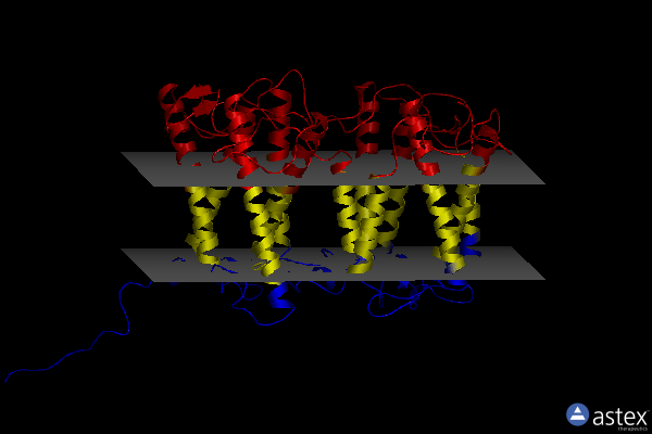 Membrane view of 8j0d