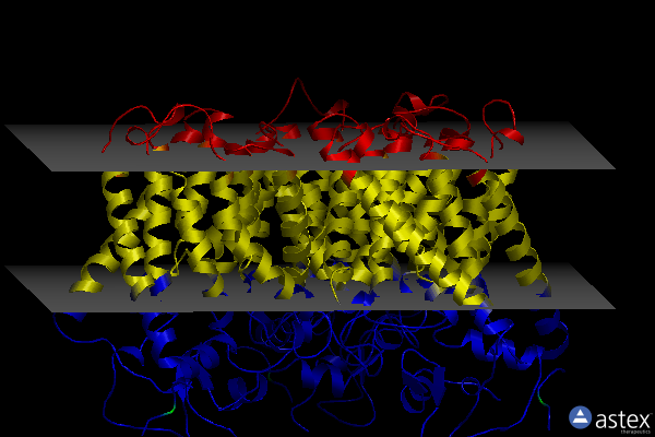 Membrane view of 8j0j