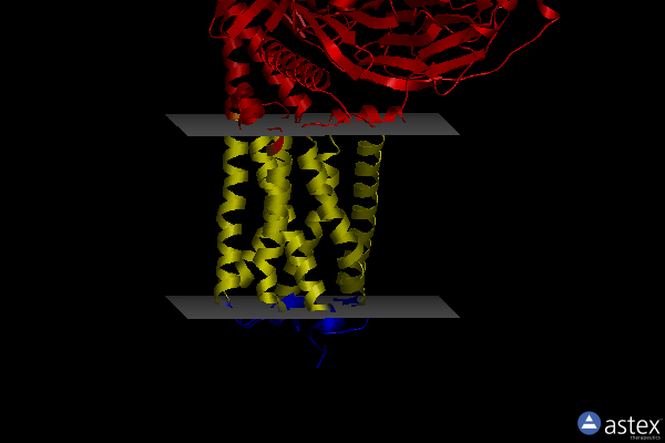Membrane view of 8j19