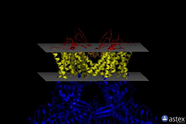 Membrane view of 8j1b