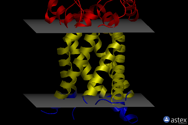 Membrane view of 8j1n