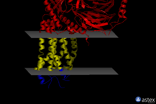 Membrane view of 8j21