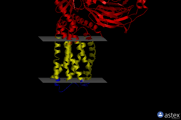 Membrane view of 8j24