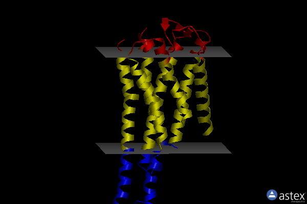 Membrane view of 8j46