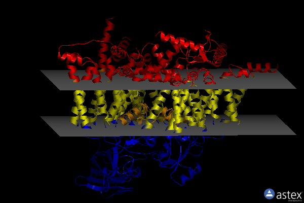 Membrane view of 8j4f