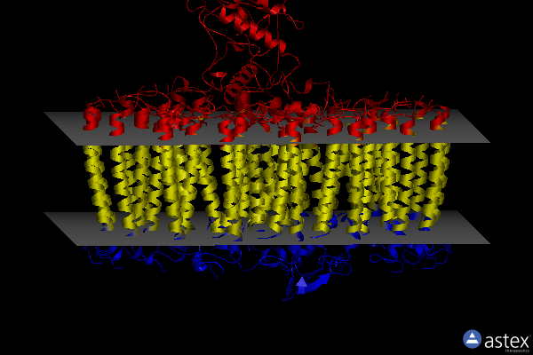 Membrane view of 8j5o