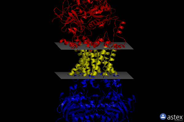 Membrane view of 8j5r