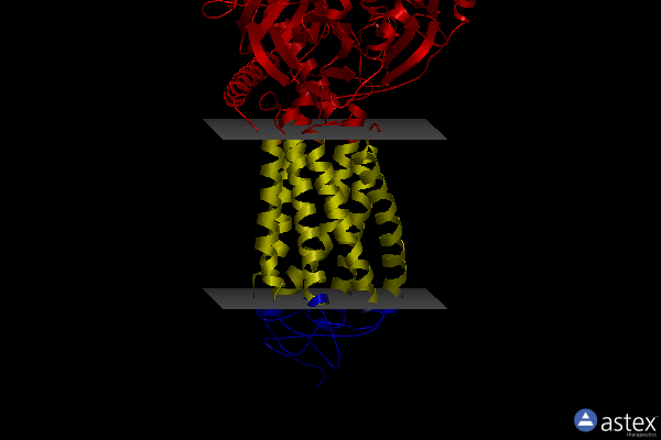 Membrane view of 8j6l