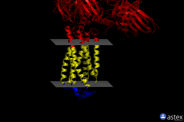 Membrane view of 8j6q